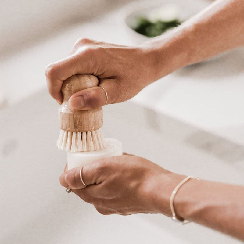 Pot Scrubber | Beechwood