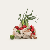 plastic free grocery bags