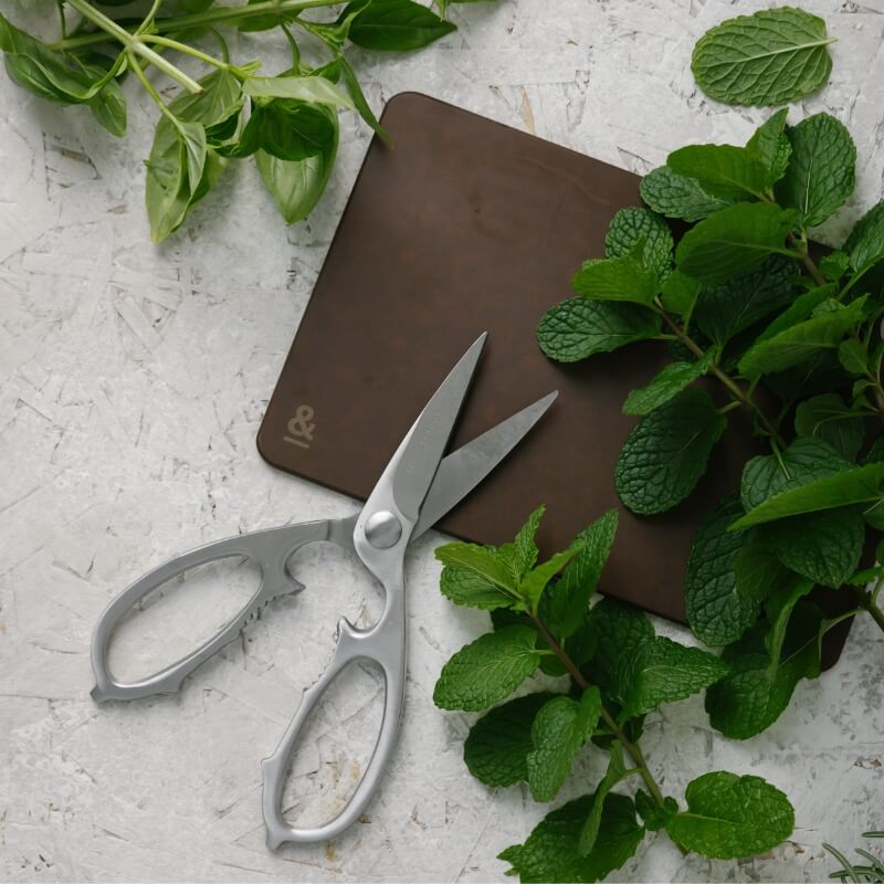 Stainless Steel Kitchen Scissors