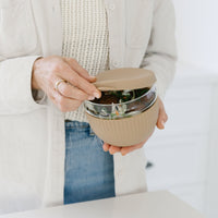 Complete Adult Lunch Set