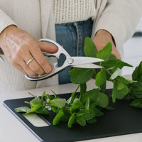 Stainless Steel Kitchen Scissors