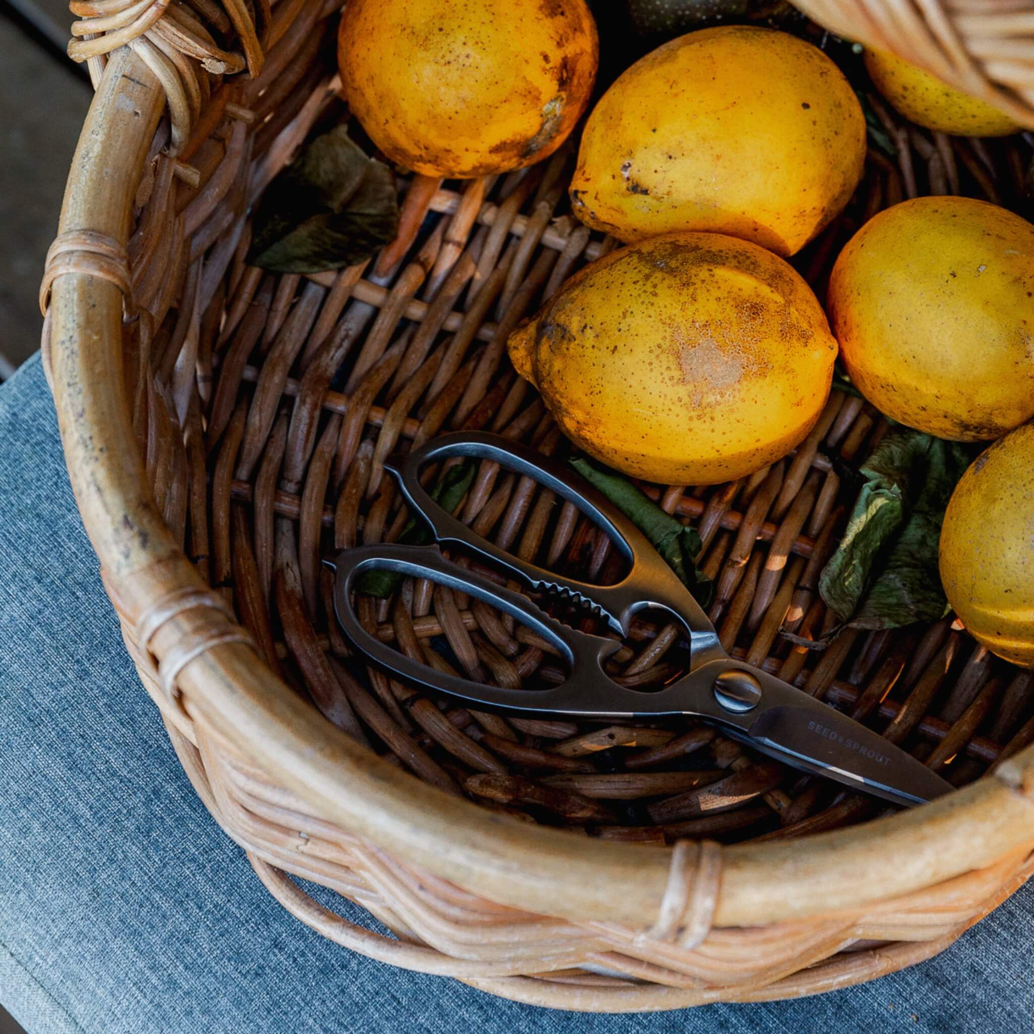 Stainless Steel Kitchen Scissors