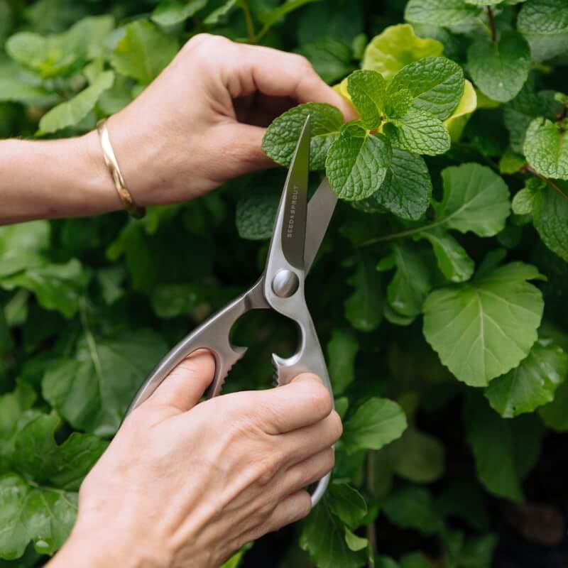 Stainless Steel Kitchen Scissors