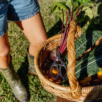 Stainless Steel Kitchen Scissors