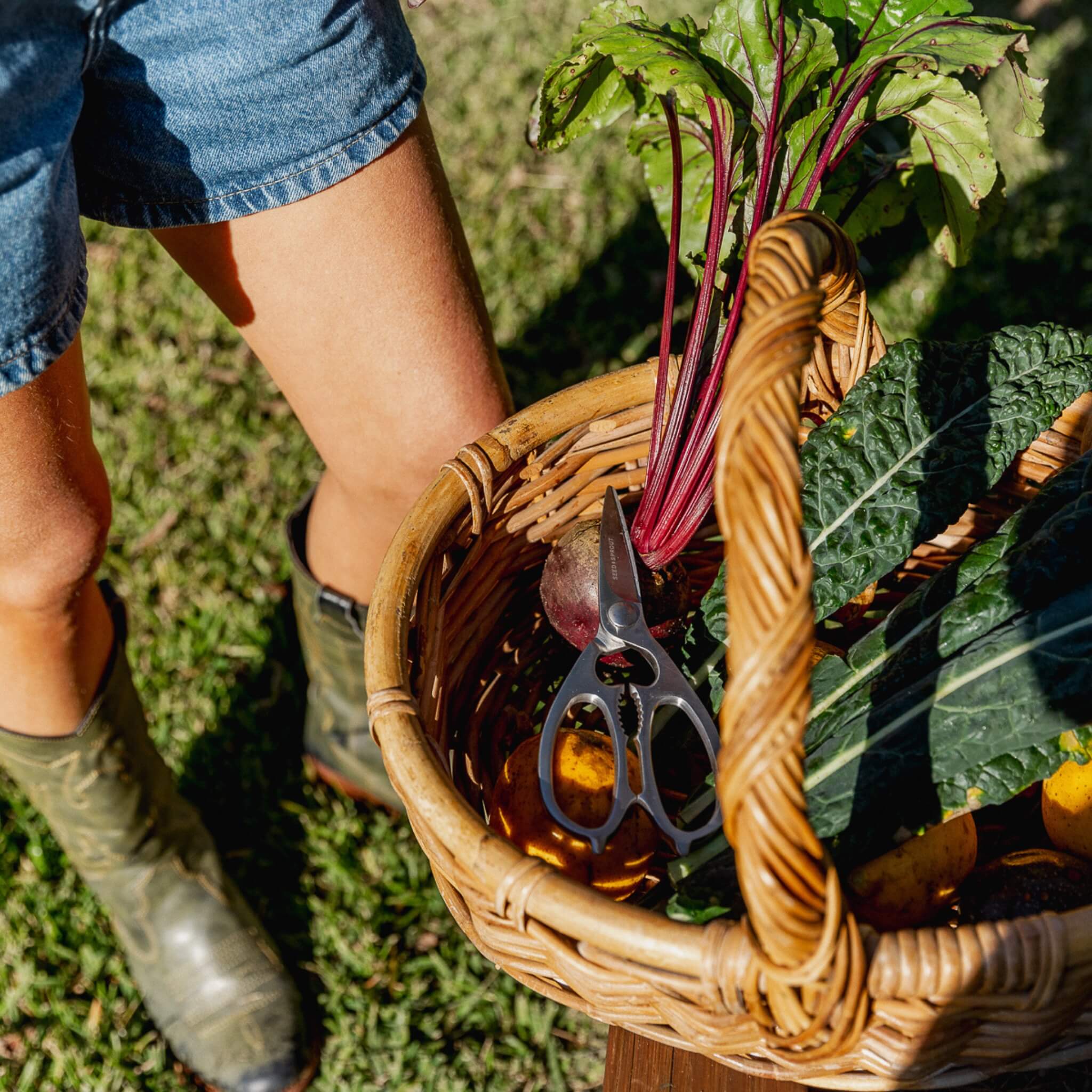 Stainless Steel Kitchen Scissors