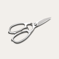 Stainless Steel Kitchen Scissors