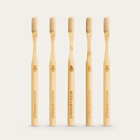 plastic free teeth cleaning