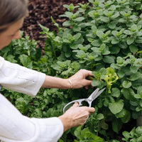 Stainless Steel Kitchen Scissors