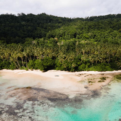$10 From Every Purchase Donated To Help Solomon Islands Community