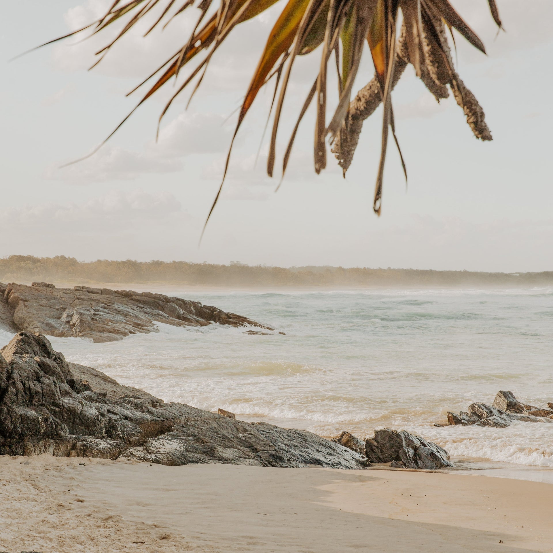 8 Ways To Be More Environmentally Friendly At Home by Sophie Kovic