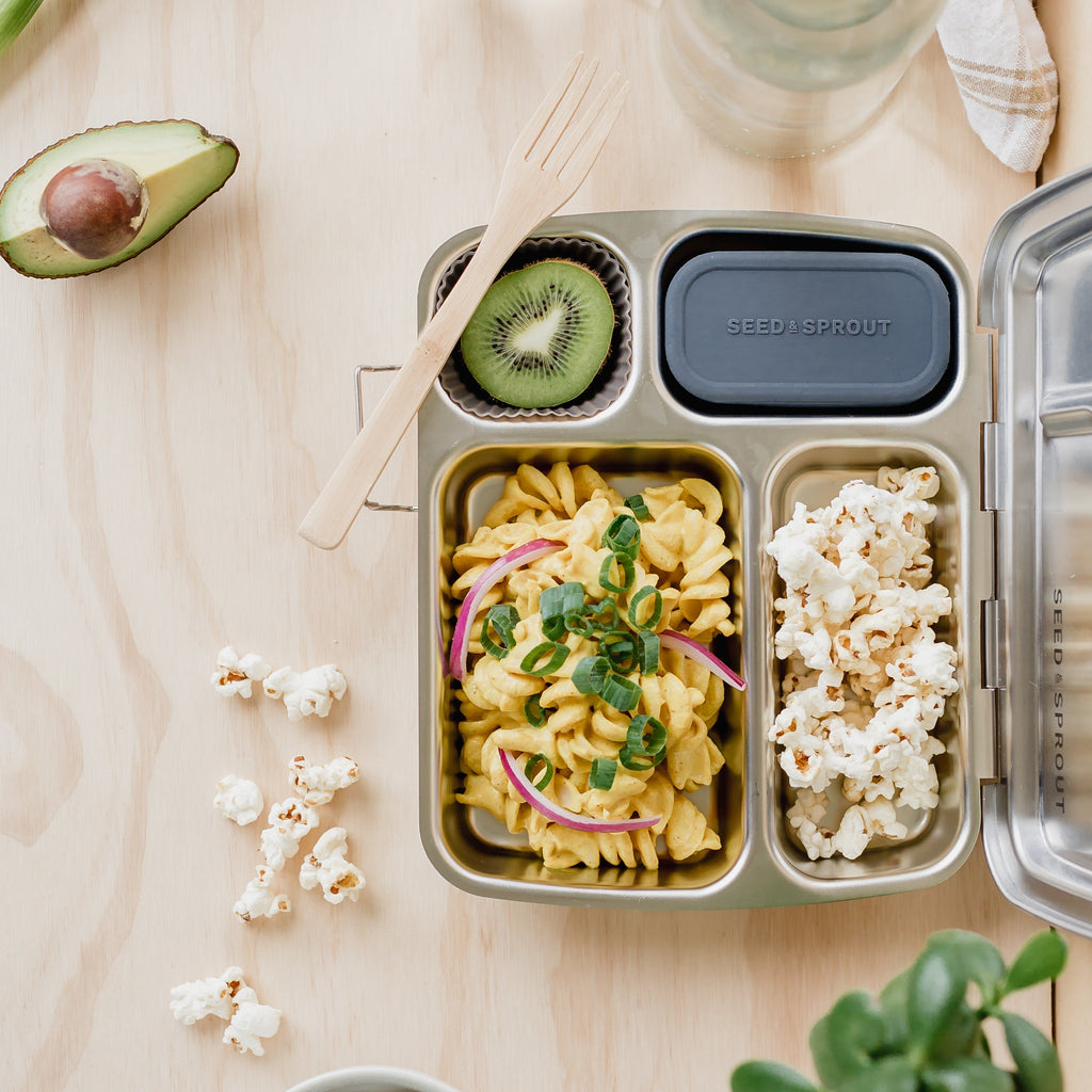 Making a Budget Friendly Kids Lunch Box