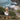 Earth Day 2026 Australia: How to Get Involved + Simple Ways to Make an Impact