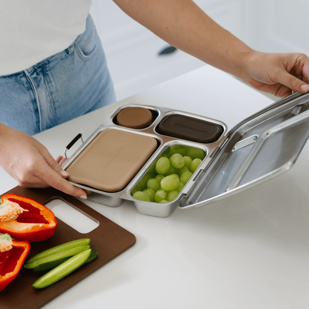 2 Pot Set - Stainless Steel Snack Containers