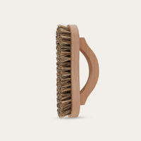 Eco Friendly Scrubbing Brush