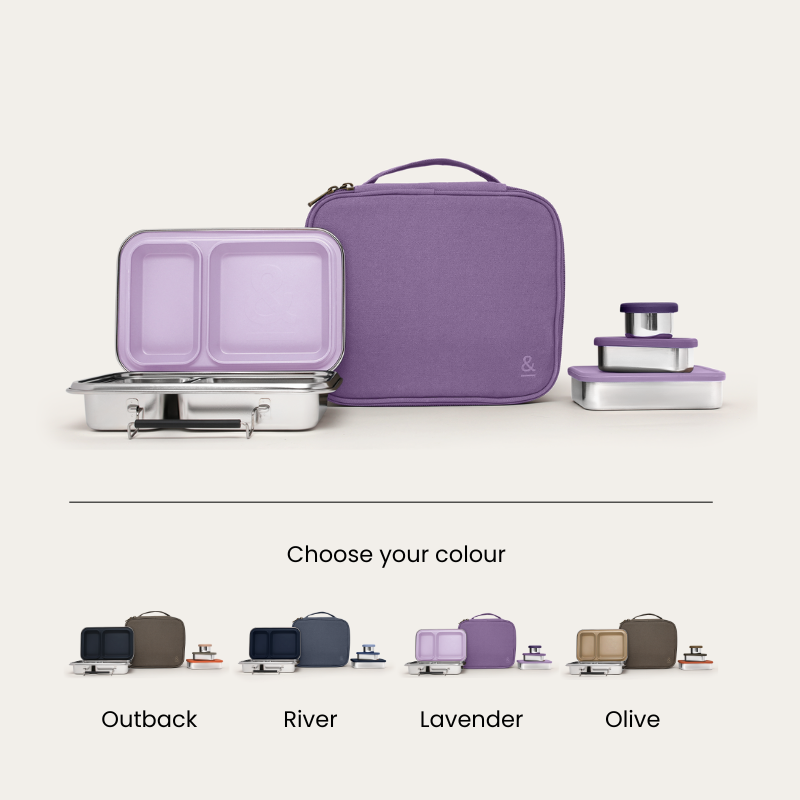 bento box adult lunch bundle