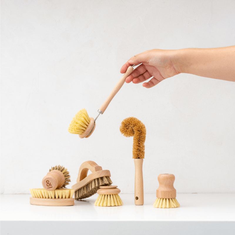 Set of 7 wooden brushes