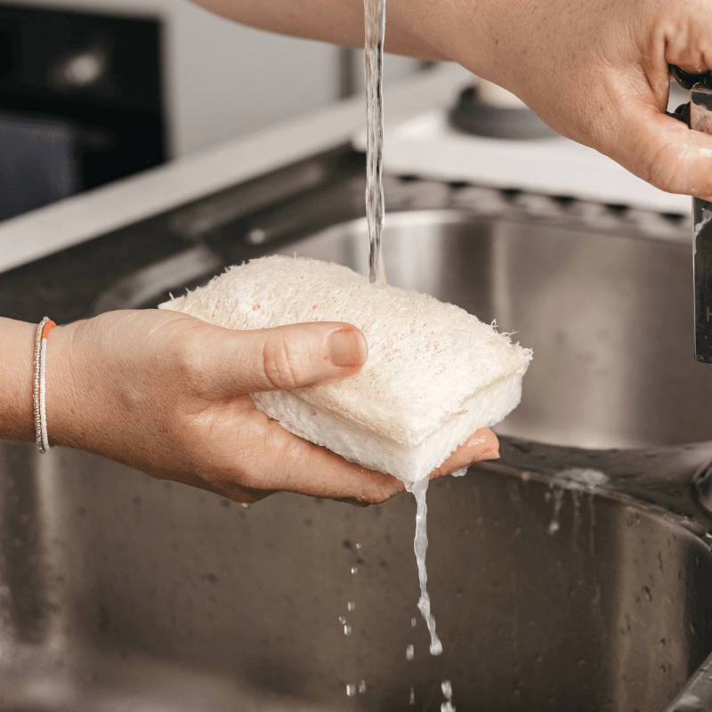 Kitchen Compostable cleaning sponge with scourer