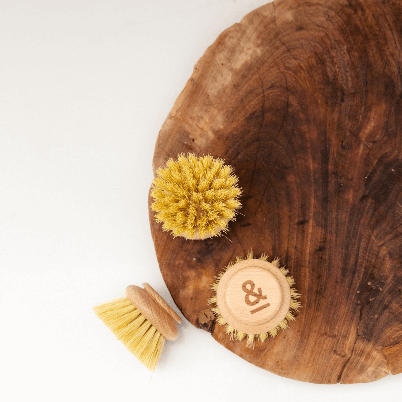 eco dish brush head replacement  set