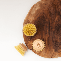 eco dish brush head replacement  set