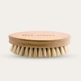 eco friendly brush for vegetables