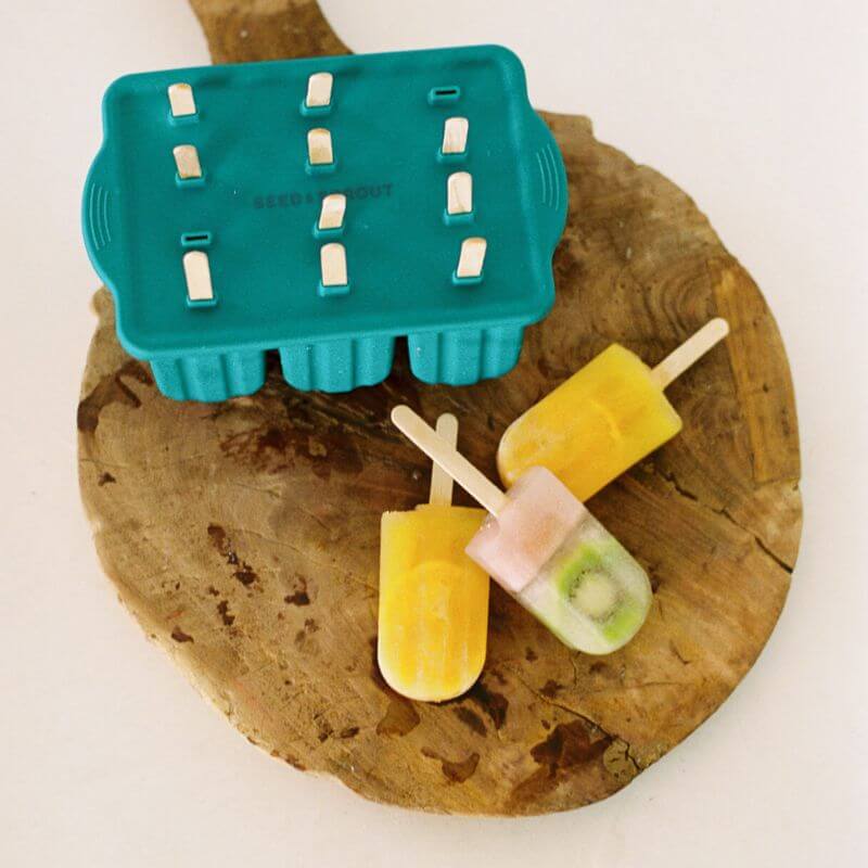 Ice Cream Mould Set Make Your Own Ice Creams & Icy Poles