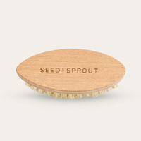 Beechwood Vegetable Brush