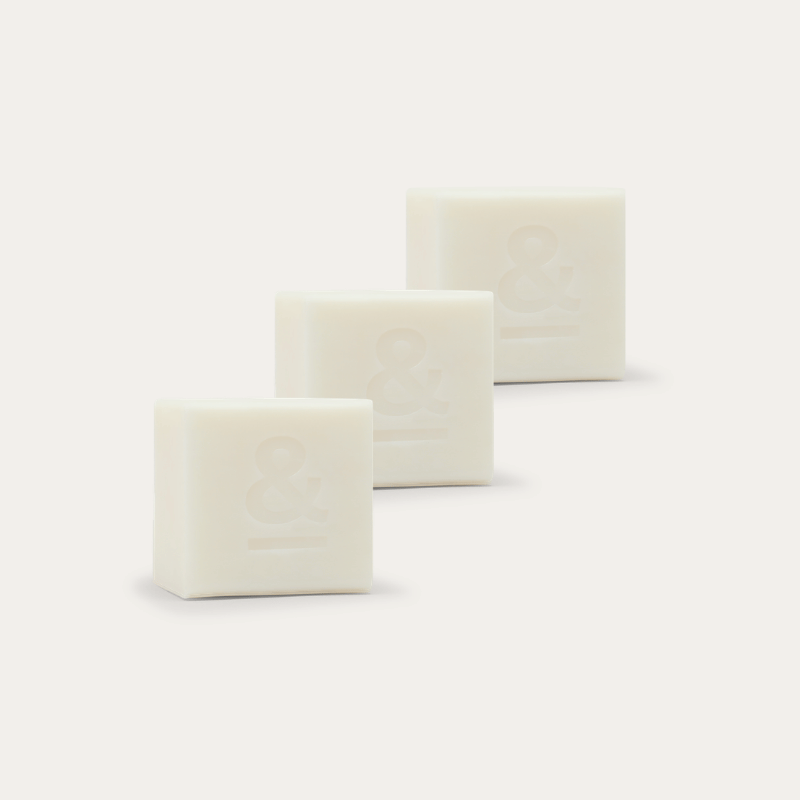 Dishwashing Block Multibuy