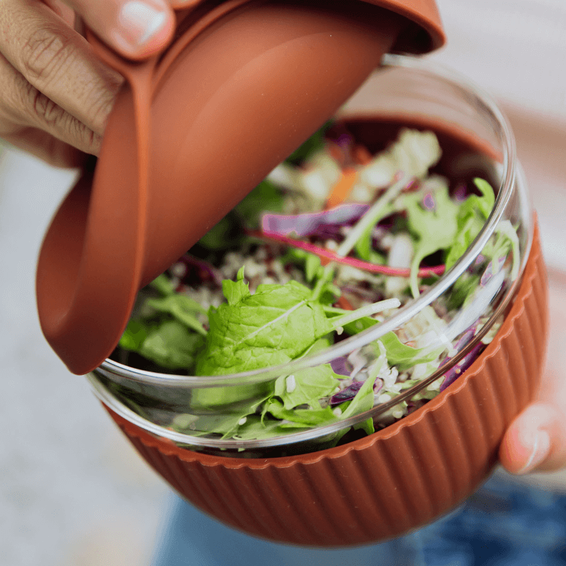 Salad Bowl Lunch Container