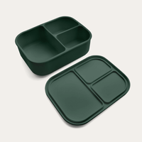 Silicone Bento Box
