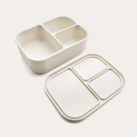 Silicone Bento Box