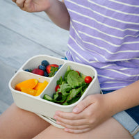 Silicone Bento Box