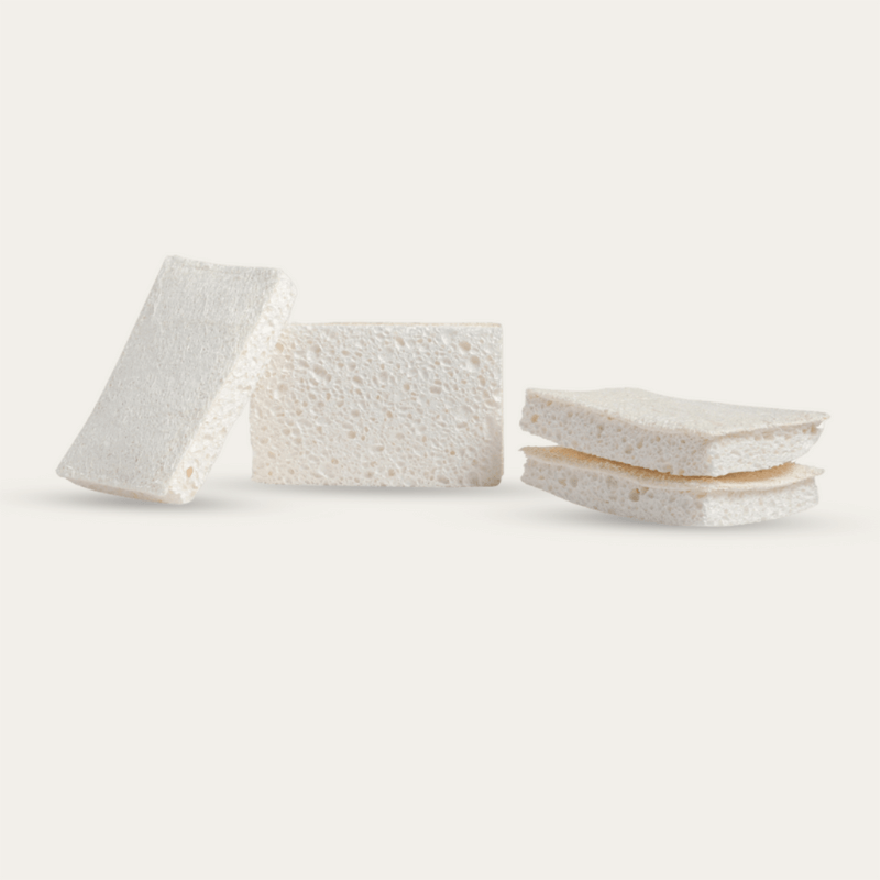 CompostableSpongewScourer-4pk