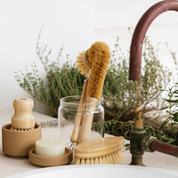 Eco Dishwashing