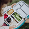 bento lunchboxes with dividers