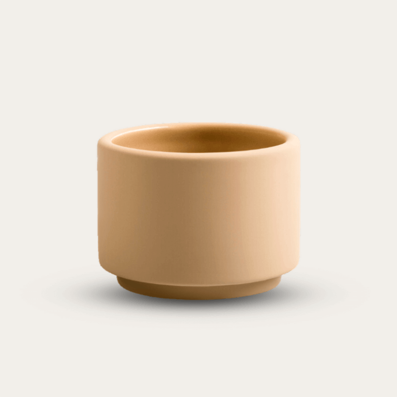Ceramic Scrub Soap Dish