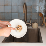 compostable brushes