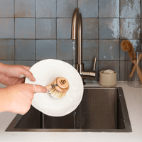compostable brushes