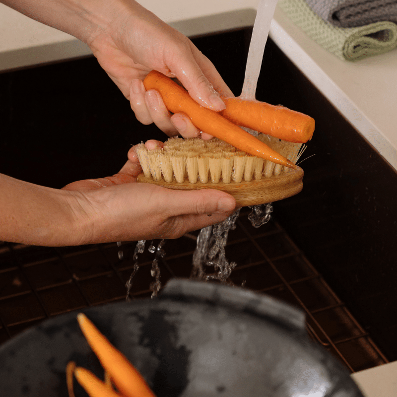 eco friendly vegetable brush