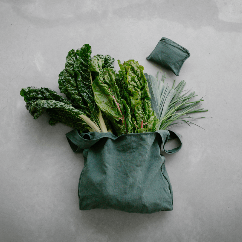 Foldable Bag