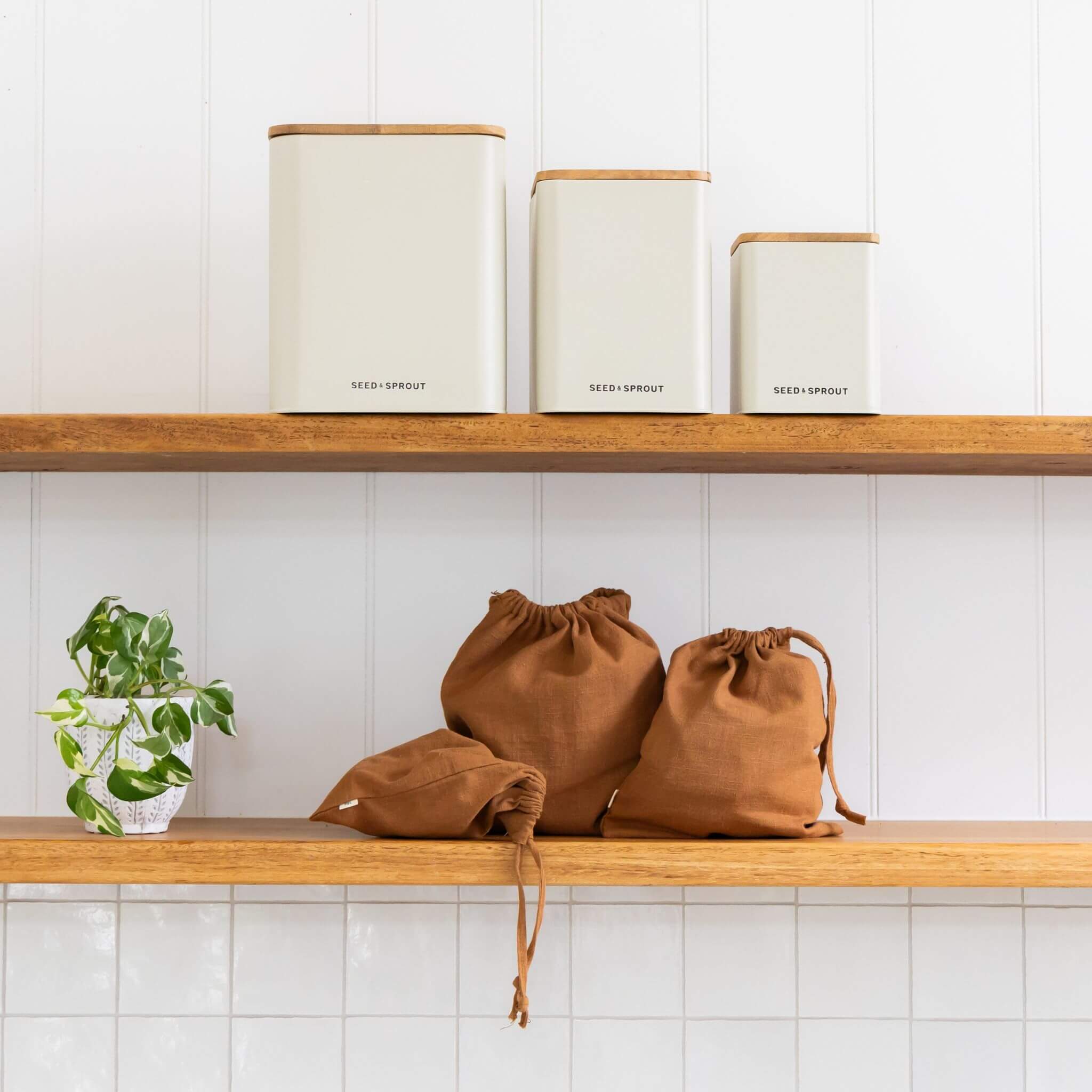 Vegetable Storage Containers | Mushroom