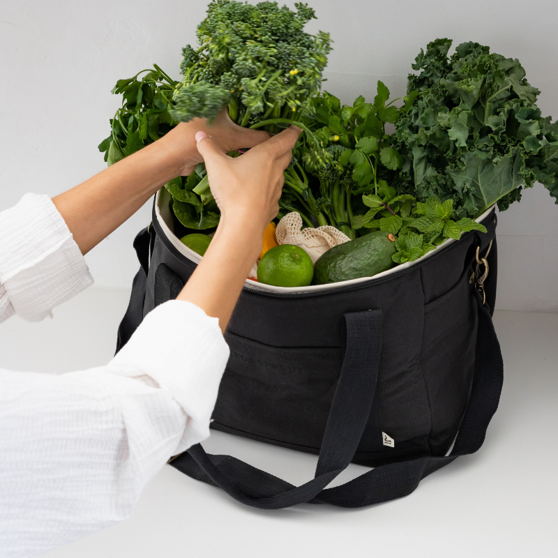 thermal picnic bag