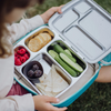 CrunchBox™ Lunch Box Bundle