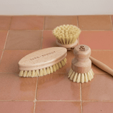 Starter Brush Set