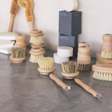 Dish Brush Head Replacement | 3pk Regular