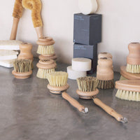 Dish Brush Head Replacement | 3pk Regular