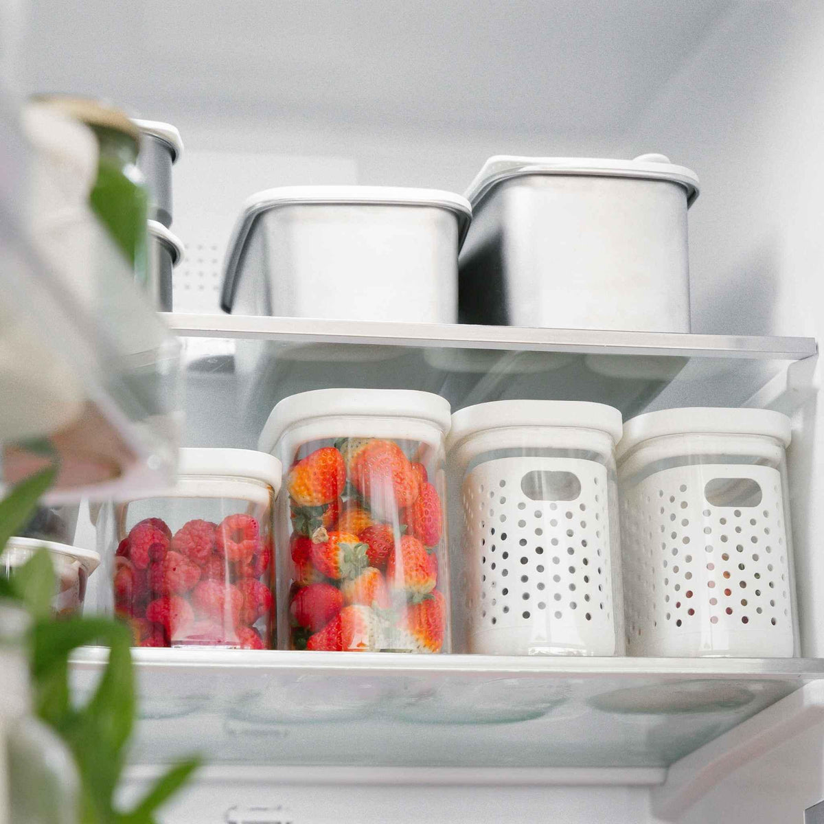 Wash & Store Jar Set with Inserts