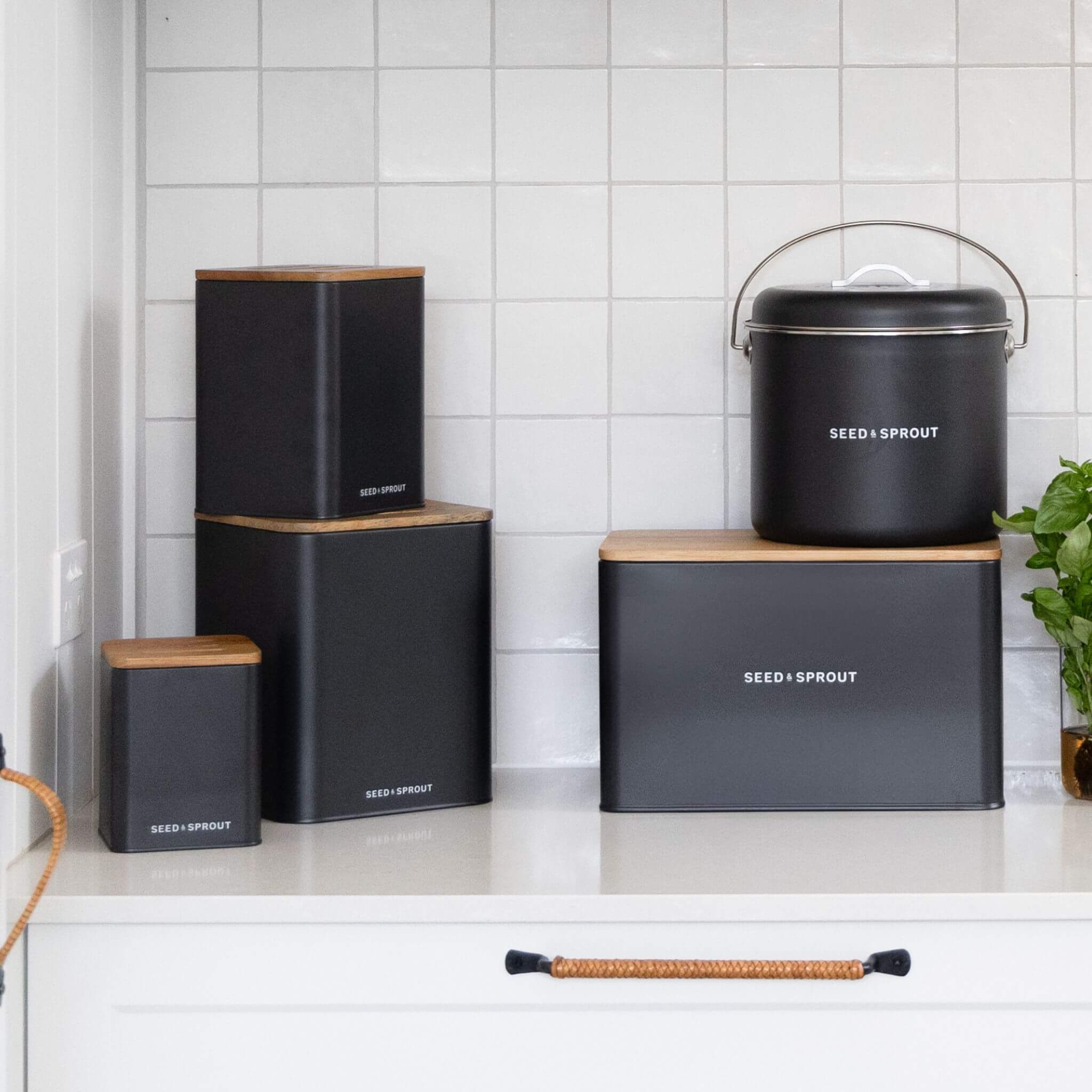 Vegetable Storage Containers | Liquorice