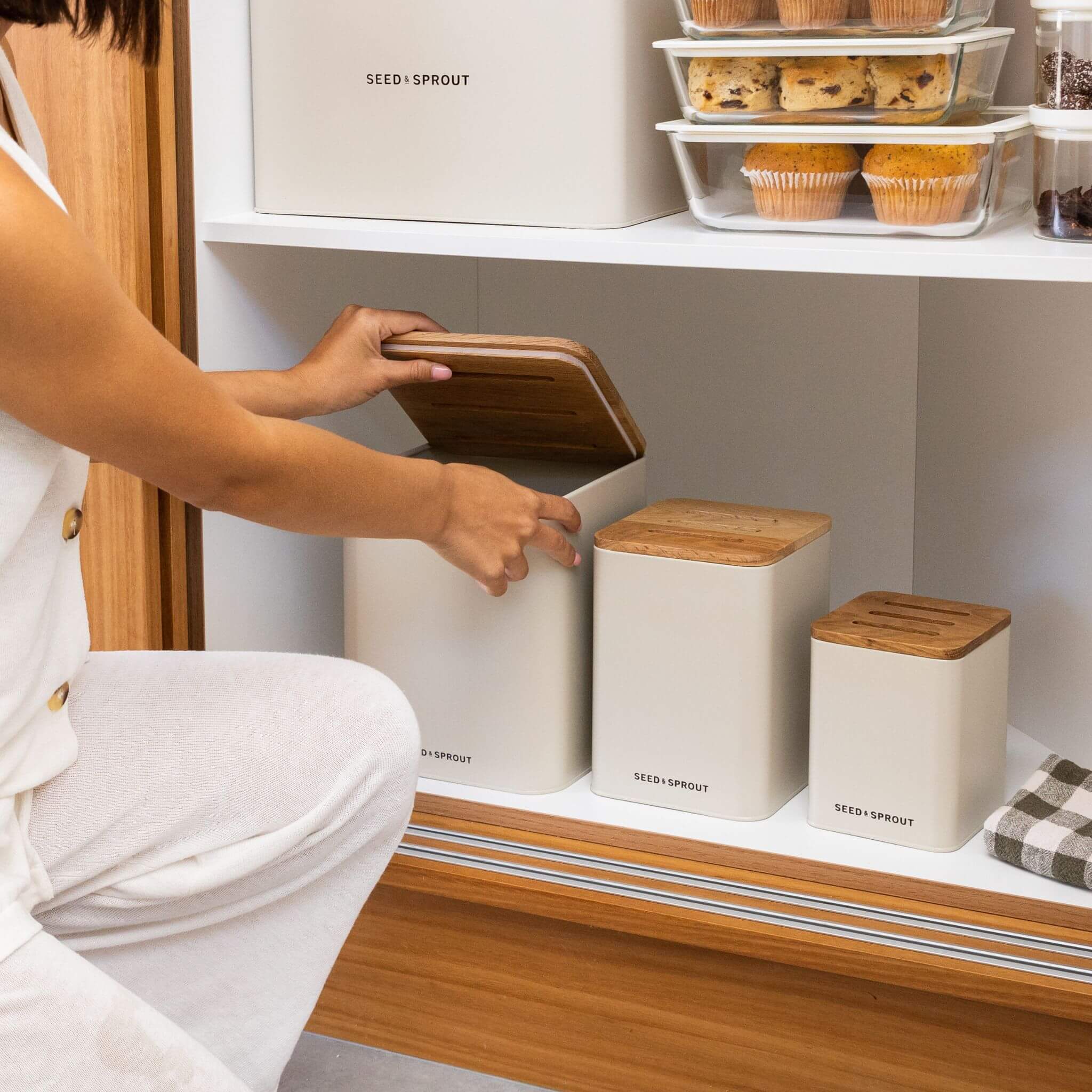 Vegetable Storage Containers | Mushroom