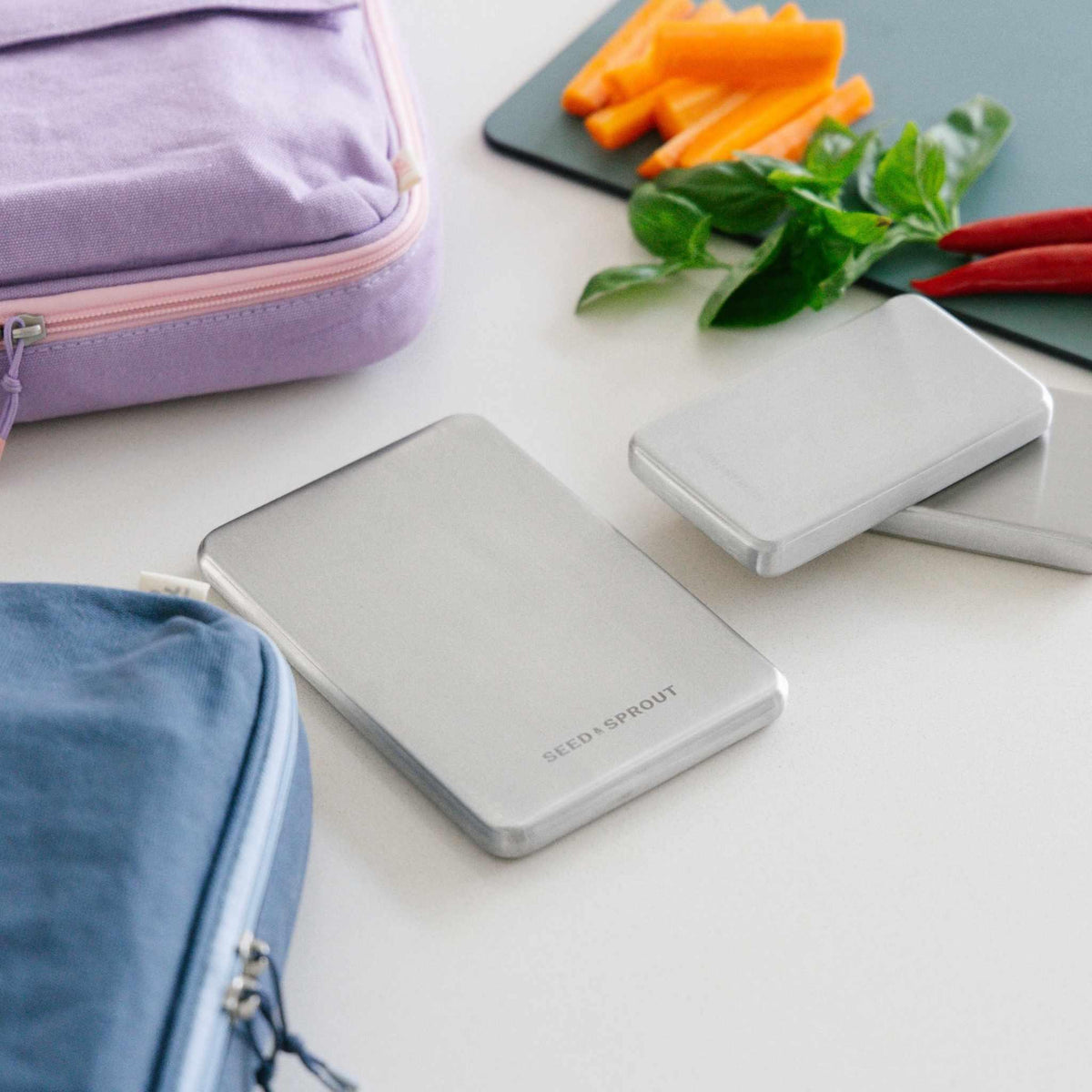 Stainless Steel Ice Packs
